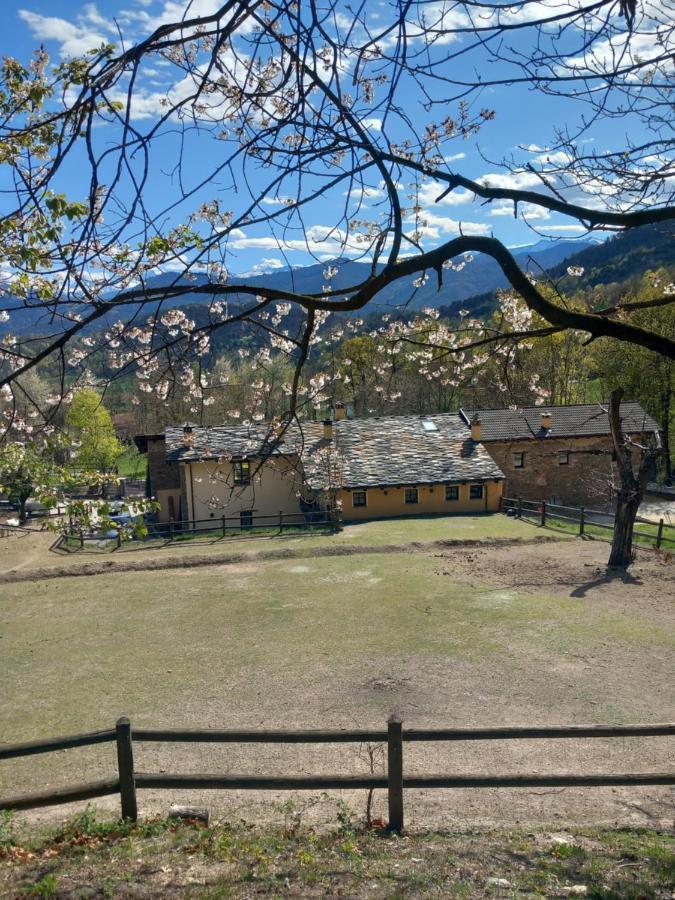 Country House Le Gaie Allegre Villar San Costanzo Dış mekan fotoğraf